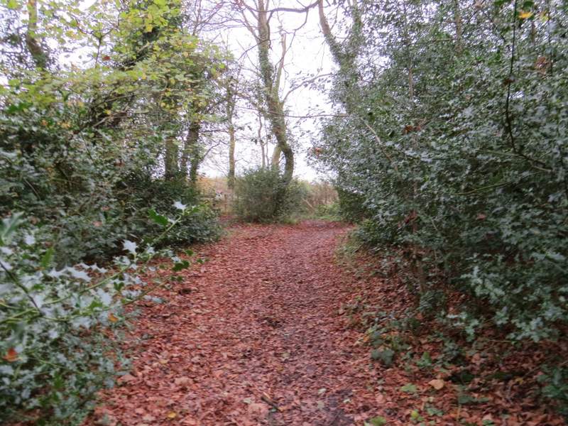 Pete's Walks Great Missenden and Coombe Hill (page 1 of 5)